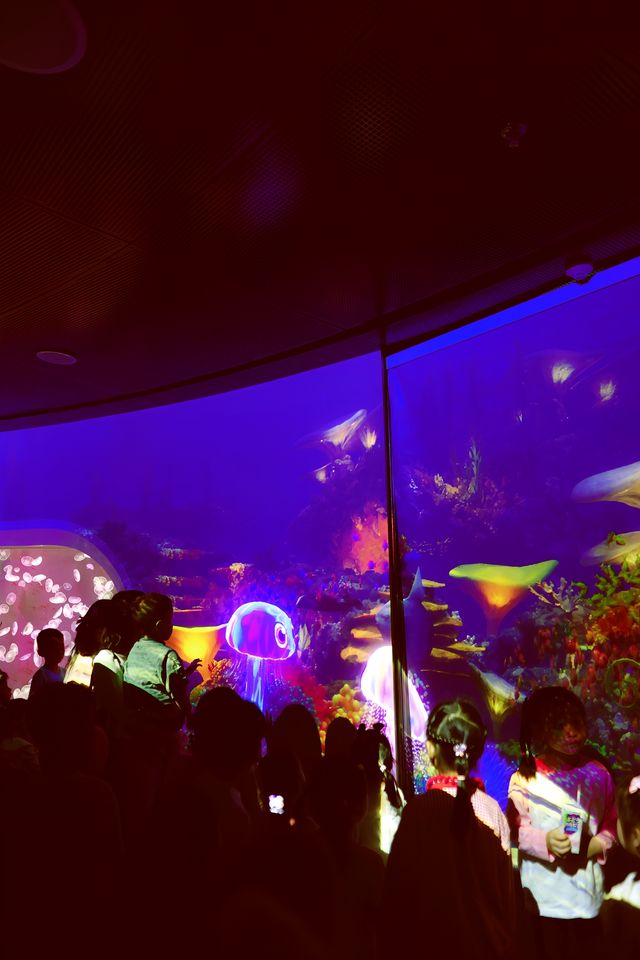 雲上海洋館·特別的存在 雲上海洋館·特別的存在