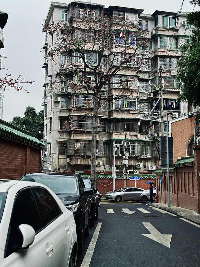 廣州｜下雨天去潮濕地帶溜達溜達