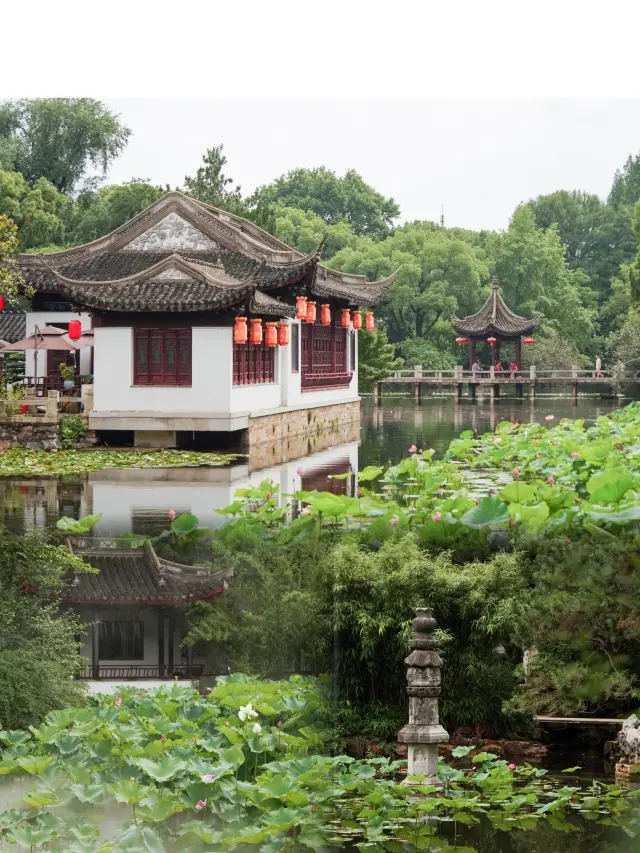 The 500-year-old Guyi Garden makes a stunning return, and it's the perfect time to admire the plum blossoms