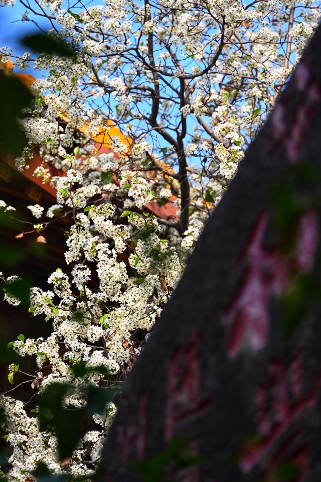 千年古刹石室禅院