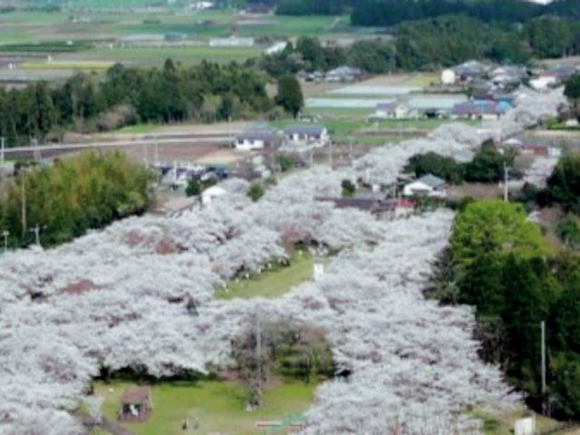 Waterfalls, sakura, hiking trails