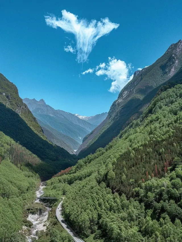 Shennongjia, a place my heart yearns for: Self-driving in a world shrouded in mist