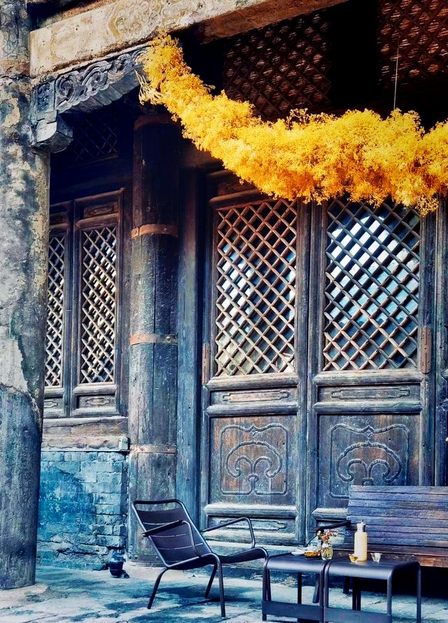 In the "unfamous" Imperial City Root Temple, savoring tea, viewing exhibitions, and practicing yoga.