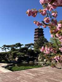 浪漫的世外桃源雁栖島·五一攻略（北京雁栖酒店）