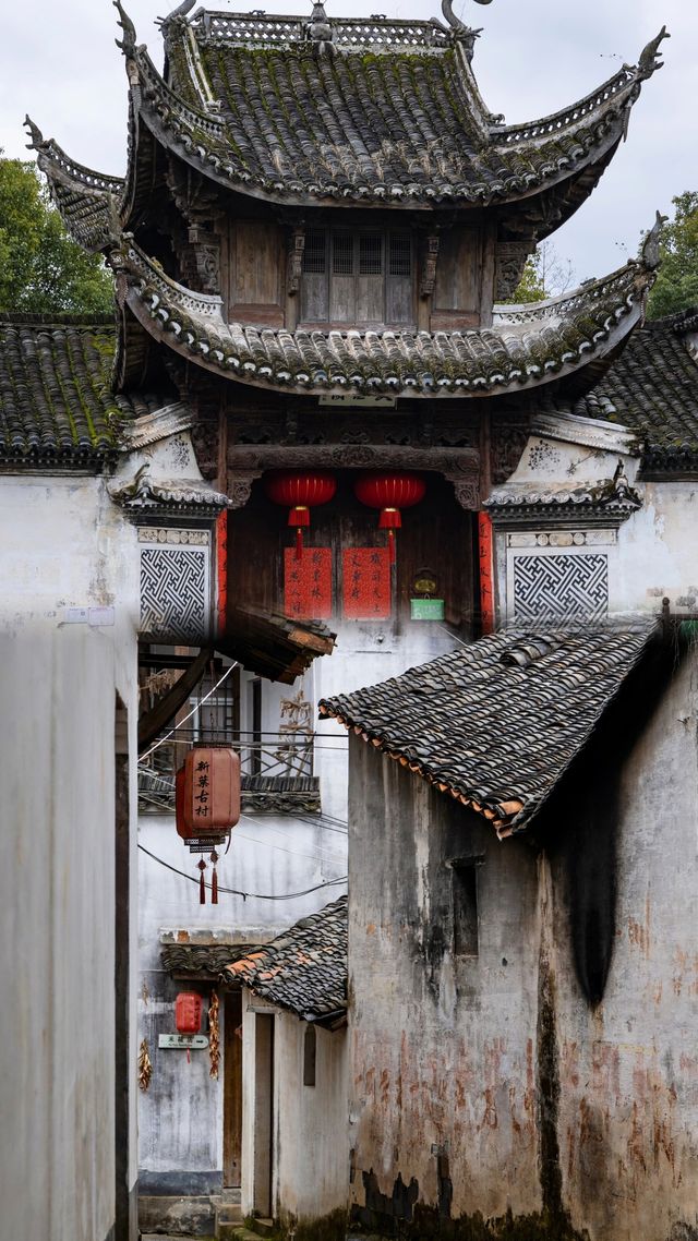 新葉古村|一眼就心動的避世古村落