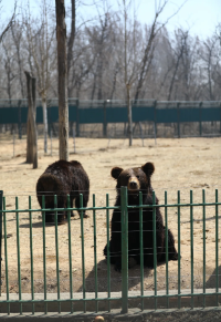 秦皇島野生動物園超全攻略~