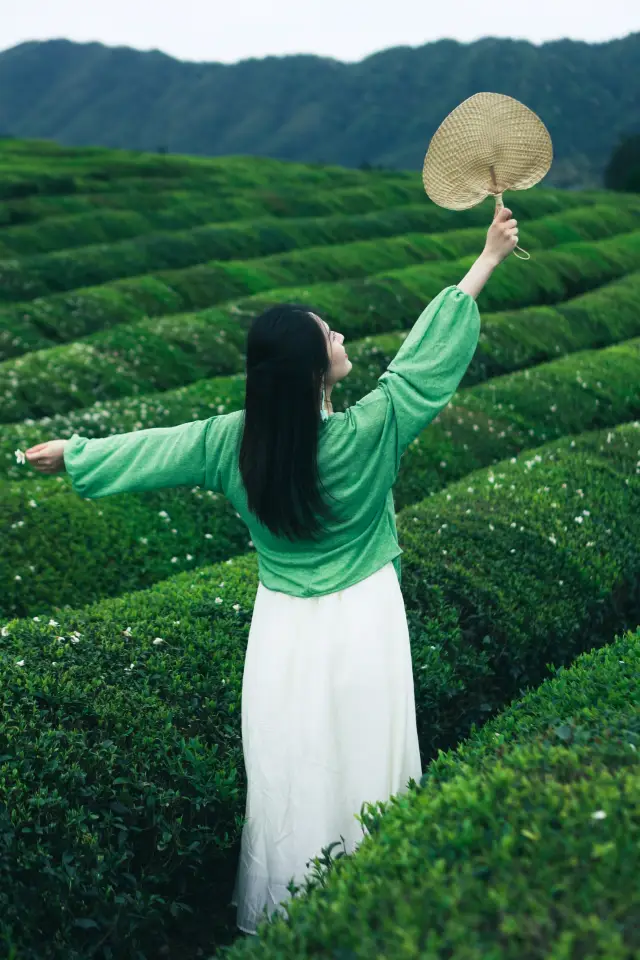 Jingdezhen‖Hanxi Village·Tea Garden, please keep it free of charge!