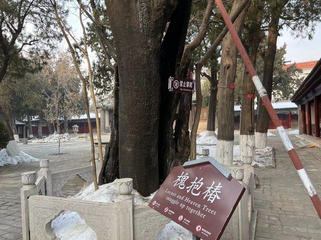 定州文庙