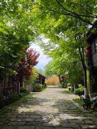 東台天仙緣—西溪景區