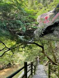 長沙近郊避暑秘籍 —— 周洛大峽谷，夏日裡的清新綠洲
