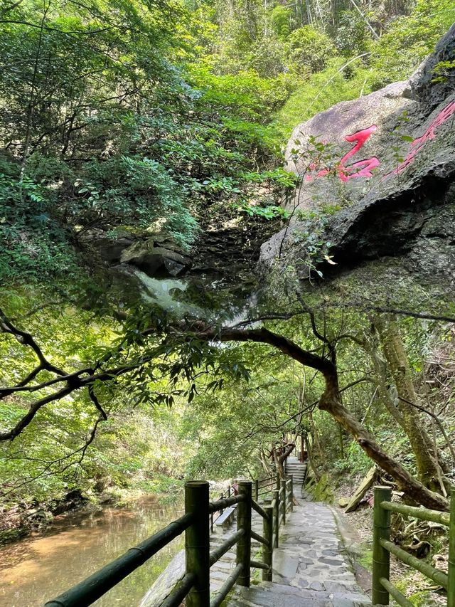 長沙近郊避暑秘籍 —— 周洛大峽谷，夏日裡的清新綠洲