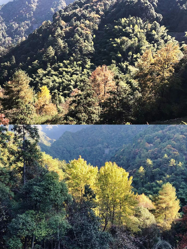 避暑天堂 黃山