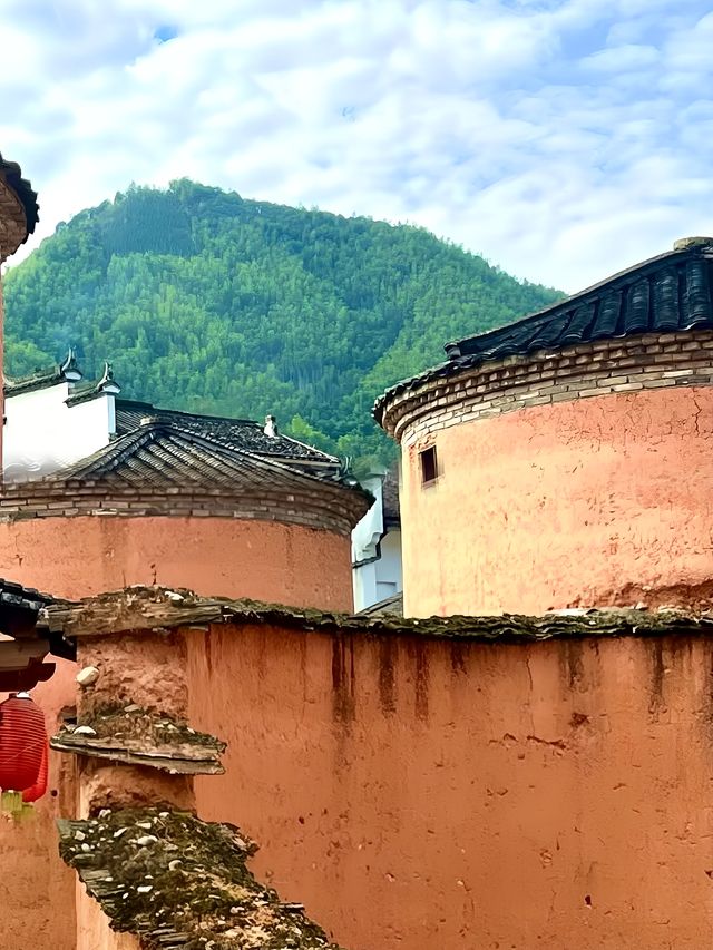 這居然是浙江的土樓差點以為是福建