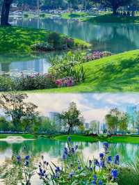 成都“莫奈花園”