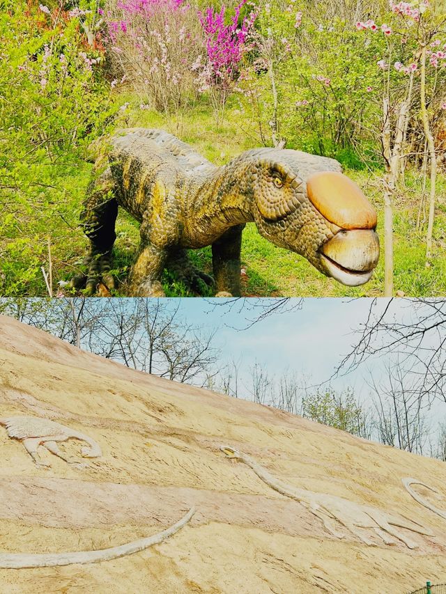 汝陽恐龍地質博物館 汝陽恐龍地質博物館