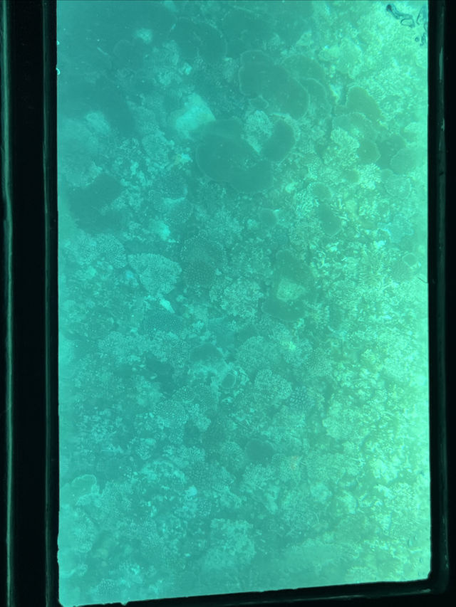 MSC榮耀號郵輪歸來