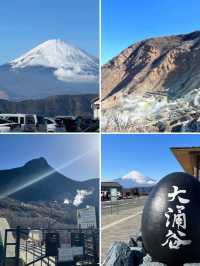 日本東京五天四晚超省心攻略！直接跟著走！