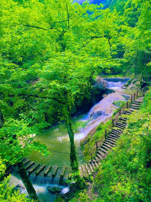 夏日徒步（最後時刻）