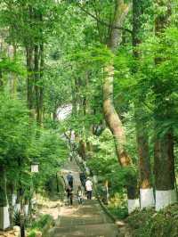比起青城山，我更愛成都這個小眾徒步地