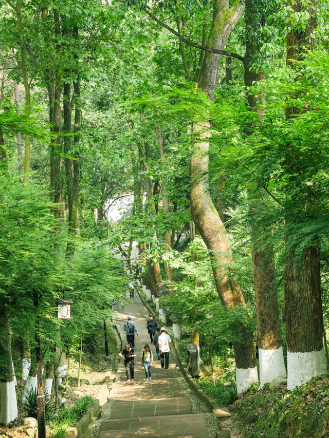 比起青城山，我更愛成都這個小眾徒步地