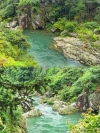 邂逅自然之美｜一步一景 陶醉在山水之間。