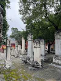 國保打卡:北京東嶽廟(國四)。