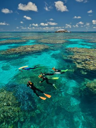 Port Douglas Agincourt Reef.