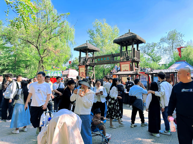 開封菊韻，驚艷了整個秋天！