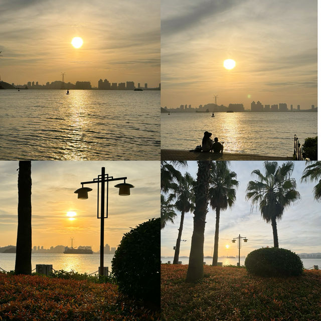 秋日逛公園||海灣公園||從不讓人失望。