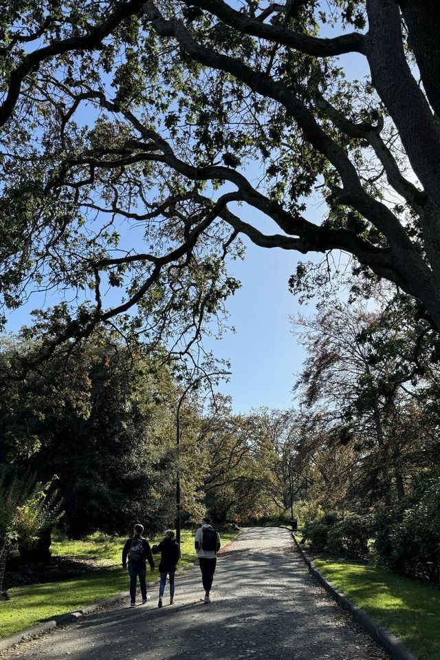 《探秘比肯丘公園：自然與詩意的邂逅》。