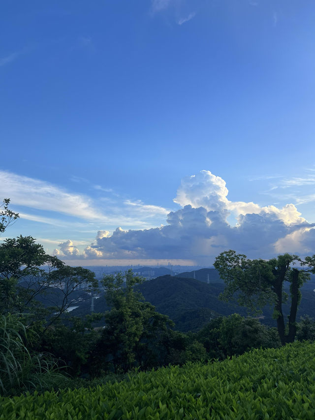 廣州｜ 黃埔油麻山森林公園。