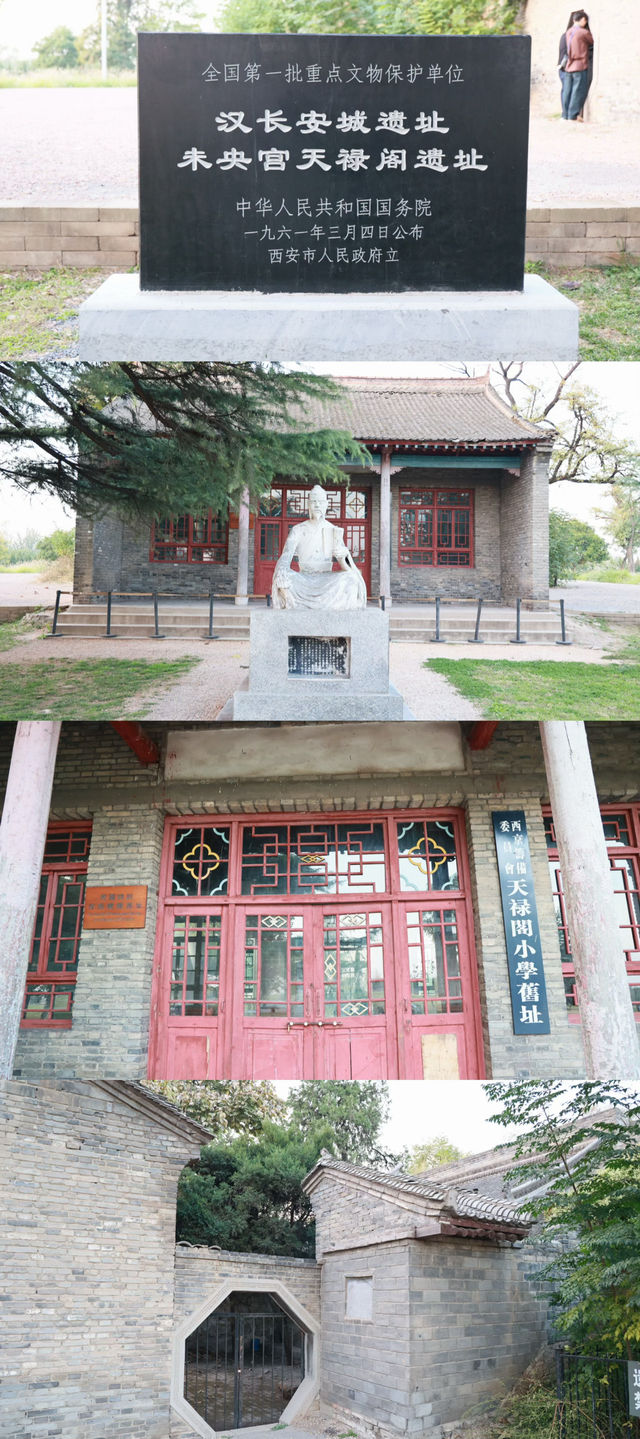 趕上夕陽的尾巴，欣賞粉黛花海。