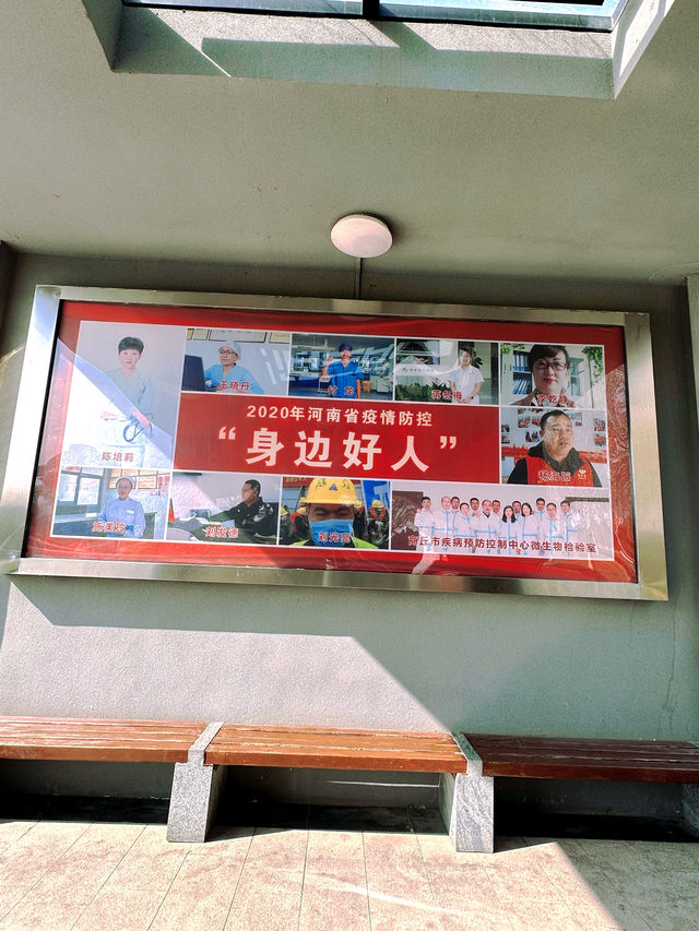商丘日月湖 | 邂逅城市中的自然之美。