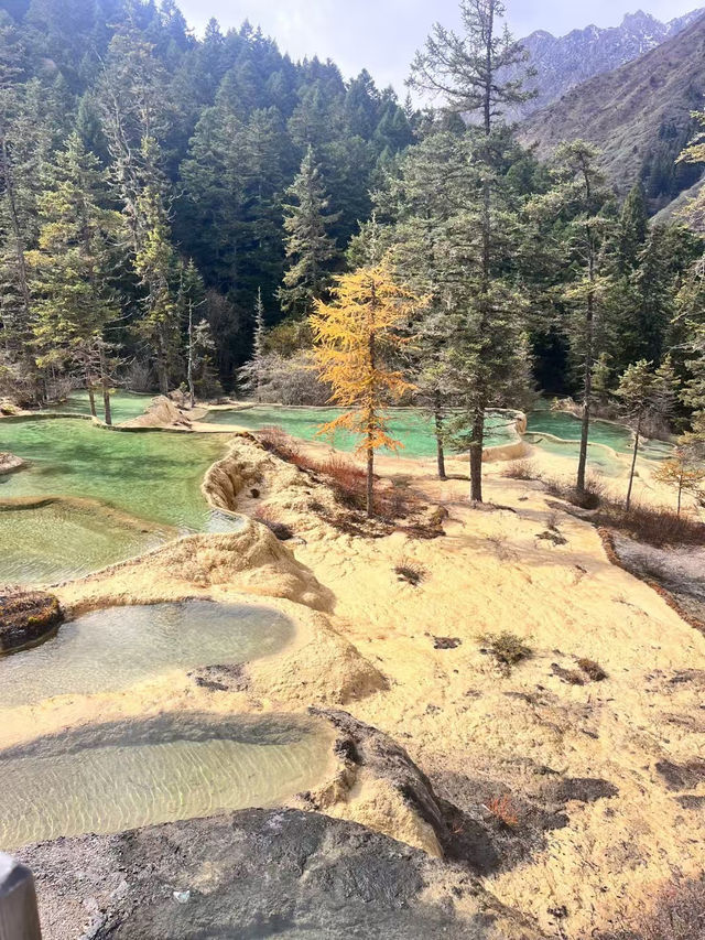 Exploring Huanglong Scenic Area: A Natural Wonder