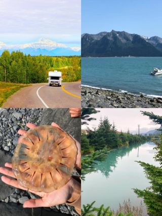 Dream Trip to Alaska: Two-Day Adventure in Anchorage