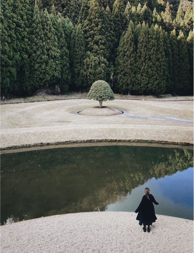 奈良山谷中的藝術森林。