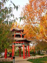 安丘市人民公園。