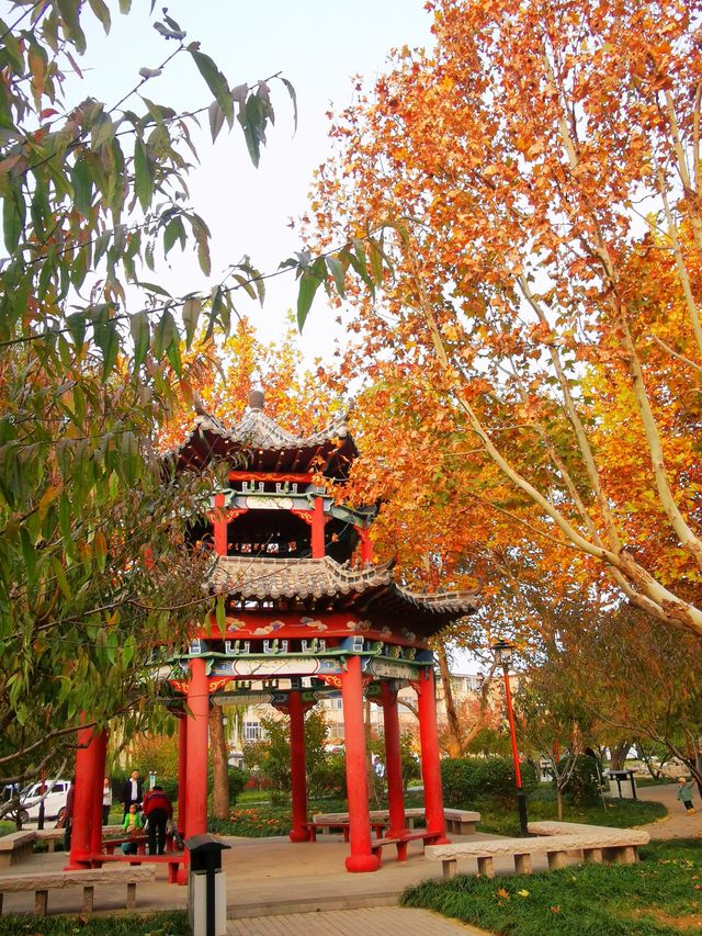 安丘市人民公園。