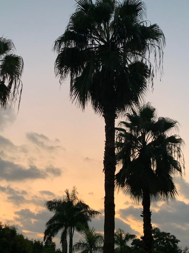福州閩江公園|福州的浪漫，閩江公園佔一半。