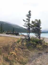 加拿大自然奇觀：Jasper National Park探秘指南