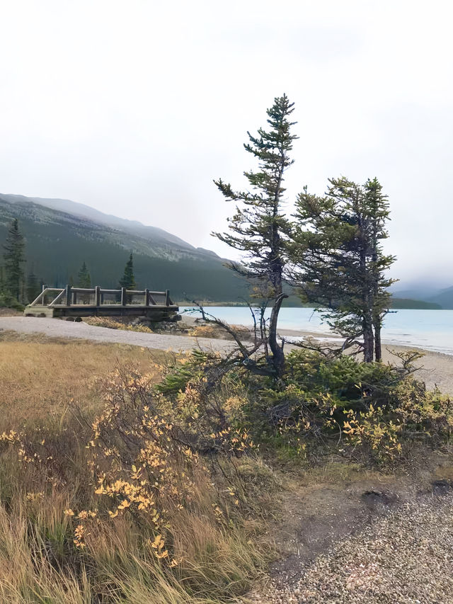 加拿大自然奇觀：Jasper National Park探秘指南