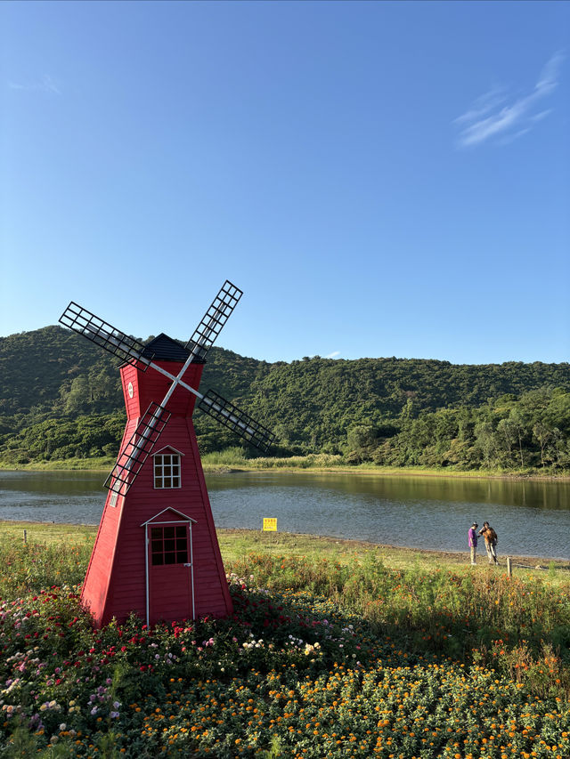 原來廣州最大的開放式森林公園在南沙。