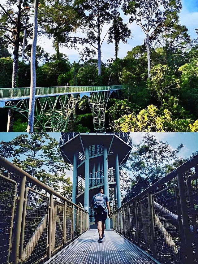 寶藏小城山打根｜一趟奇幻之旅。