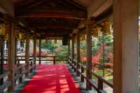 京都｜人少而至美，長岡京光明寺。