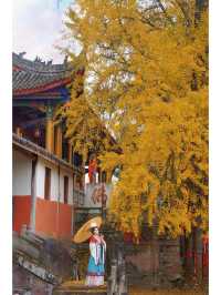 成都周邊1H｜赴一場千年古寺的銀杏之約。