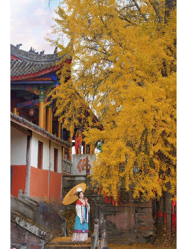 成都周邊1H｜赴一場千年古寺的銀杏之約。