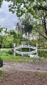 上海浦江郊野公園是適合遛娃的好地方。