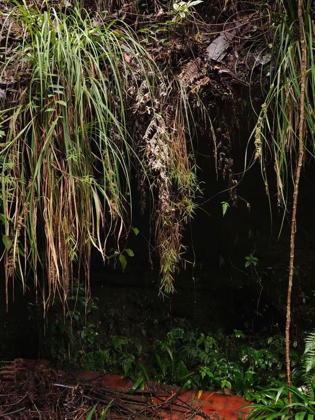 內江市石板河景區 | 避暑遊玩好去處。