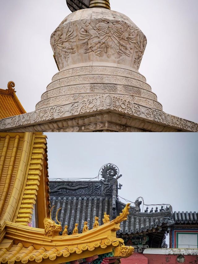 三天兩夜——阜新之旅，你不可錯過的完美攻略！。