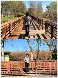 【河北正定縣～滹沱河生態旅遊區】。